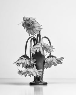 Close-up of flower vase against white background