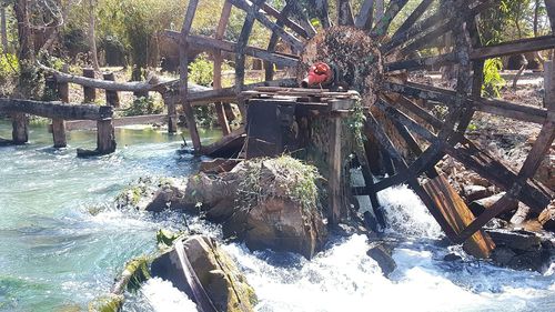 Close-up of plants against water