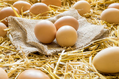 Close-up of eggs with burlap on straw