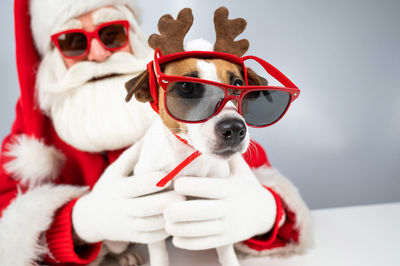 Santa with dog wearing sunglasses at home