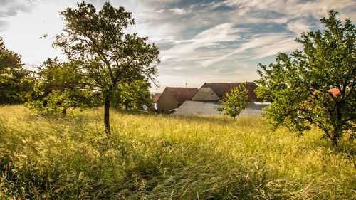 Abandoned house on field against sky