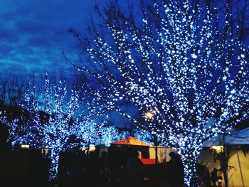 Low angle view of illuminated lights at night