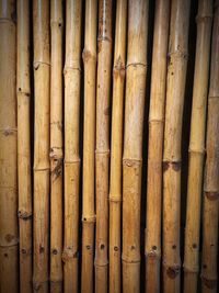 Bamboo wall