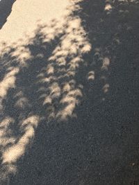 High angle view of shadow on ground