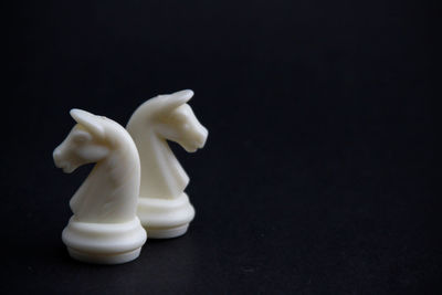 Close-up of white swan against black background