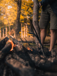 Amazing fireplace and barbecue evening