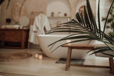 Luxury interior of big bathroom at modern african style with oval bathtub in natural lighting