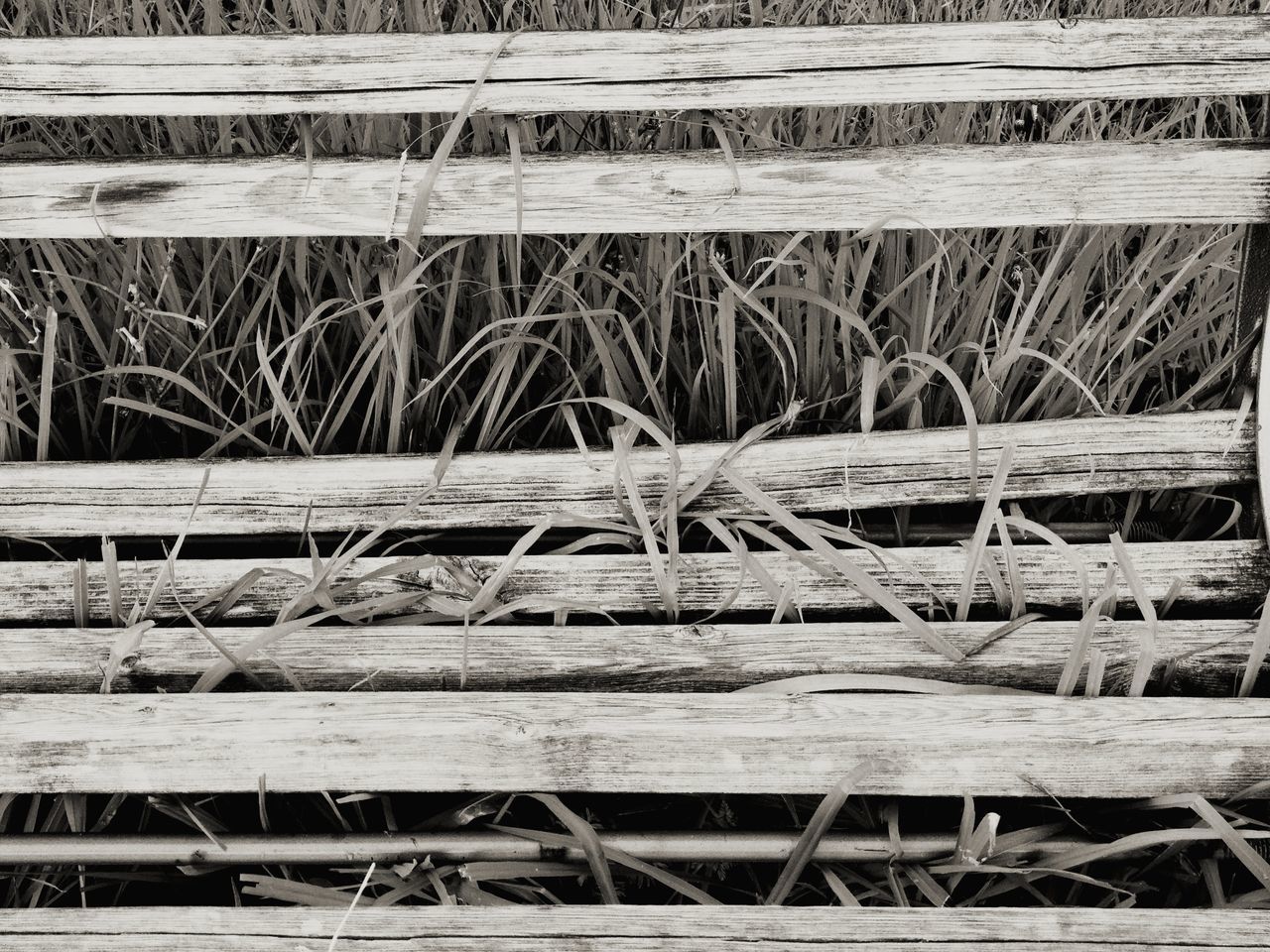 no people, wood - material, grass, close-up, day, stack, plant, nature, full frame, outdoors, hay, abundance, wood, still life, complexity, backgrounds, field, land, pattern, growth, wheel