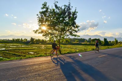 Rear view of people riding bicycle on road