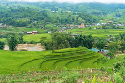 High angle view of agricultural field