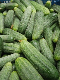 Full frame shot of cucumbers for sale at market