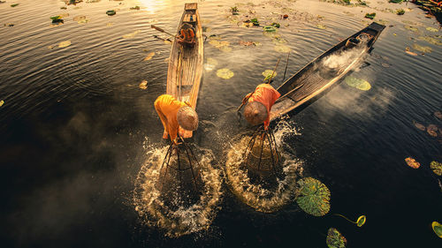 High angle view of fish swimming in lake