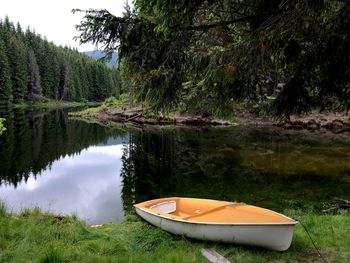 Boat floating on lake against trees in forest