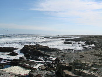 Scenic view of sea against sky