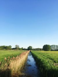 Canal amidst field against clear blue sky