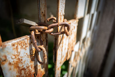 Close-up of rusty chain on metal gate