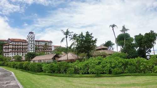 Plants and houses in garden against sky