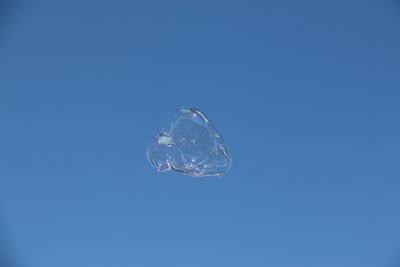 Low angle view of tree against blue sky