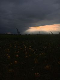 Scenic view of field against dramatic sky during sunset