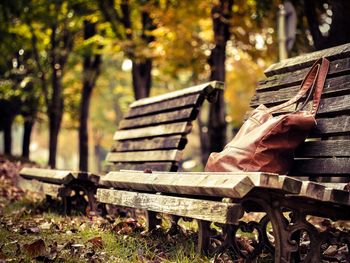 Handbag on empty bench against trees