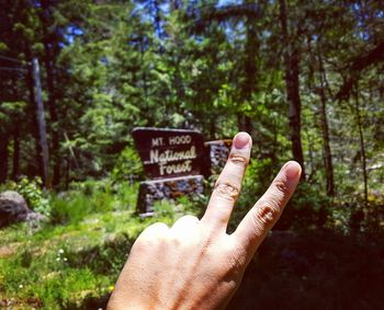 Close-up of fingers gesturing peace sign against plants