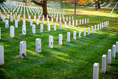 Row of tombstones in cemetery