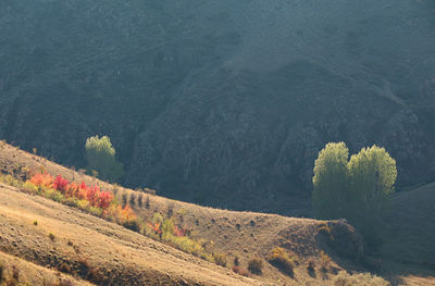 Beautiful panoramic landscape of the mountainside in autumn