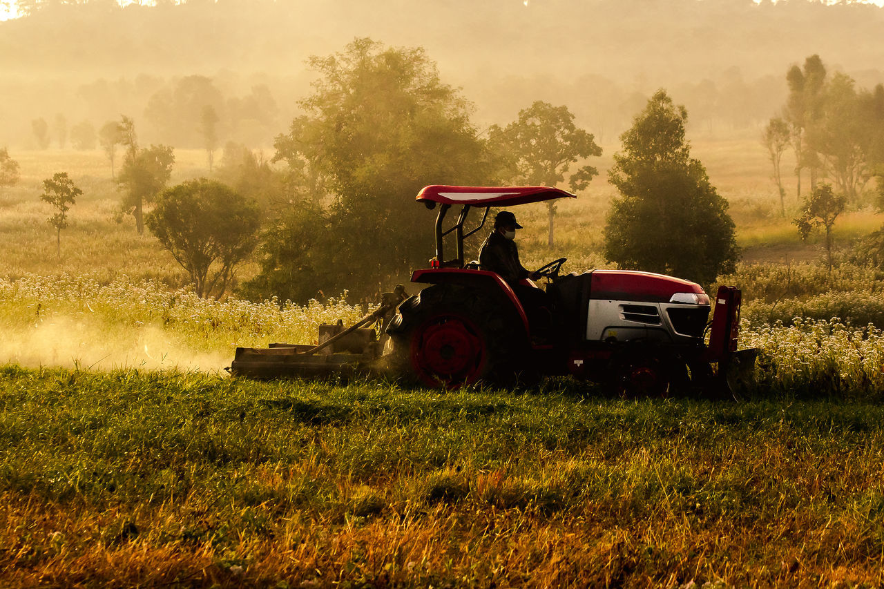 TRACTOR IN FIELD