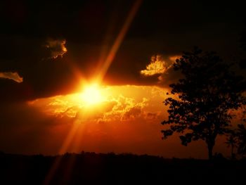 Silhouette trees against sky during sunset