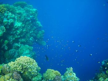 underwater