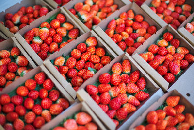 High angle view of fruits in market