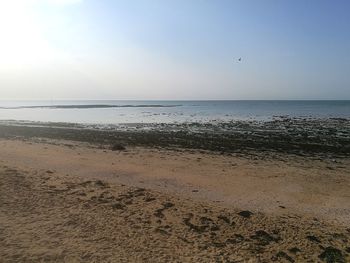 Scenic view of beach against clear sky