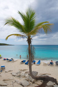 Palm tree on beach against sky