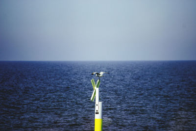 Seagull sitting on a cross on sea against clear sky.