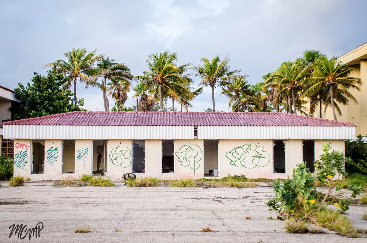 PALM TREES AGAINST BUILT STRUCTURE