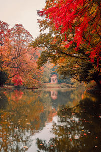 Reflection of trees in lake during autumn