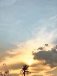 Low angle view of silhouette trees against sky during sunset