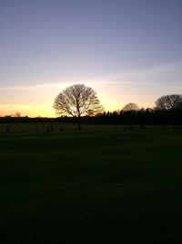 Silhouette trees on field against sky during sunset