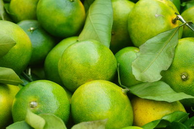 Full frame shot of oranges