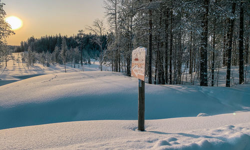 Bare trees on snow covered field against sky
