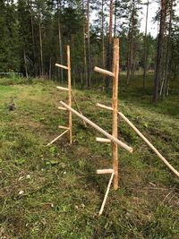 Wooden post in forest