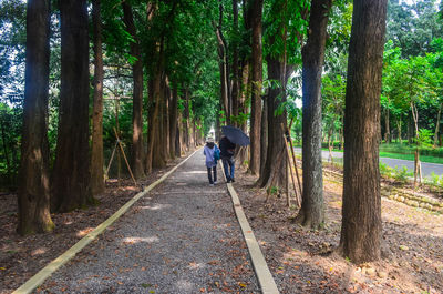 Rear view of people walking on footpath amidst trees in forest