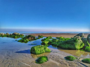 Scenic view of sea against clear blue sky