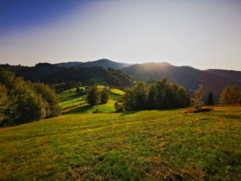 Scenic view of field against clear sky