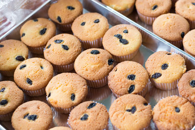 High angle view of cookies