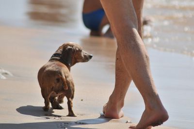 Full length of woman on beach
