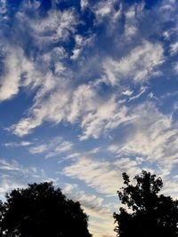 Low angle view of silhouette trees against sky