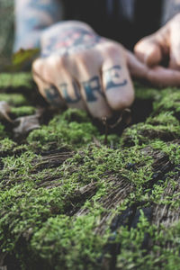 Midsection of man by plants