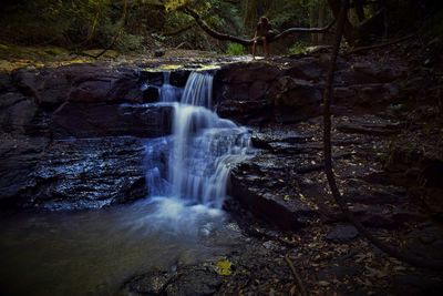 Scenic view of waterfall in forest