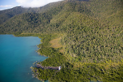 High angle view of plants on land against mountains